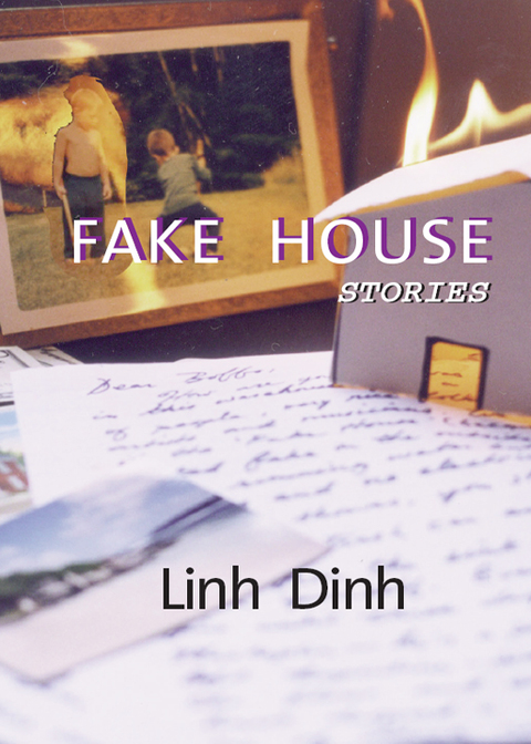 Cover image for book Fake House