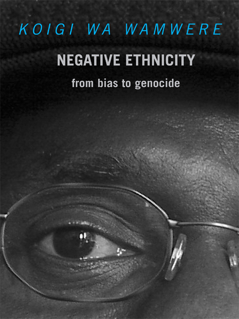 Cover image for book Negative Ethnicity