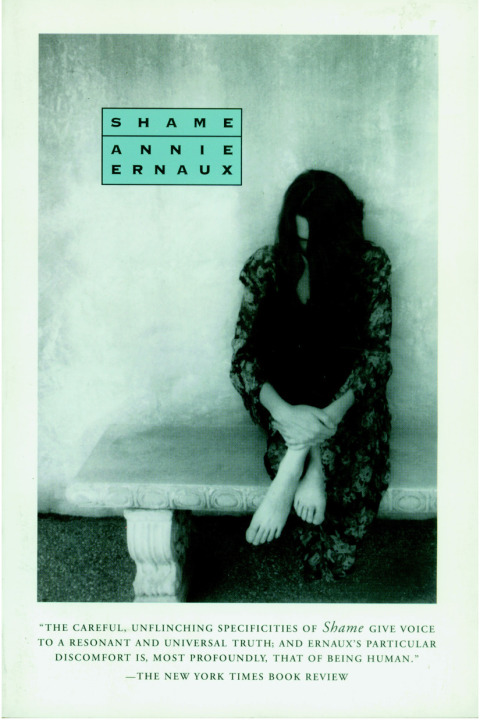 Cover image for book Shame