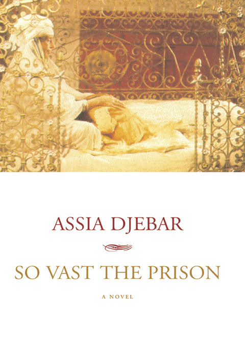 Cover image for book So Vast the Prison