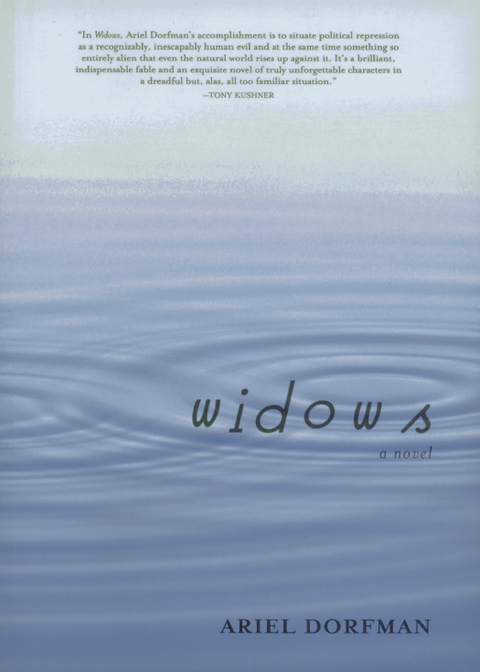 Cover image for book Widows