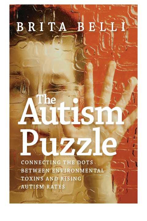 Cover image for book The Autism Puzzle