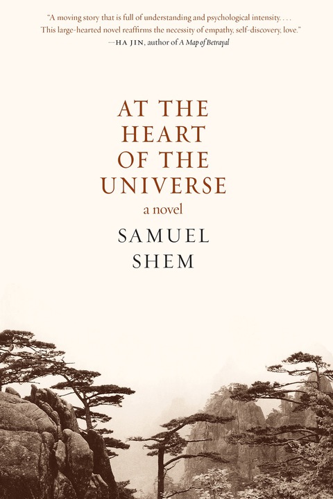 Cover image for book At the Heart of the Universe