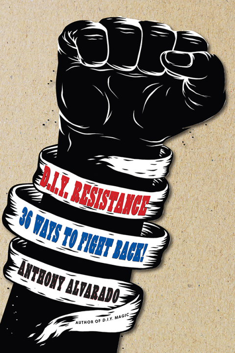 Cover image for book DIY Resistance