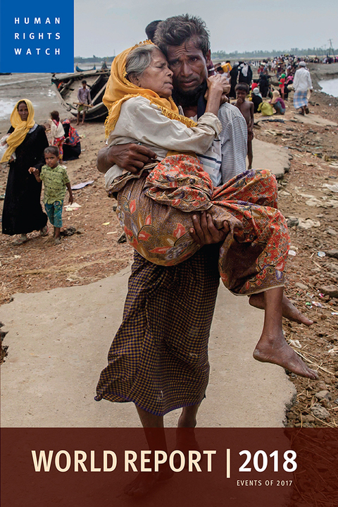 Cover image for book World Report 2018