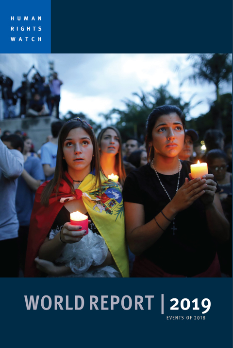 Cover image for book World Report 2019