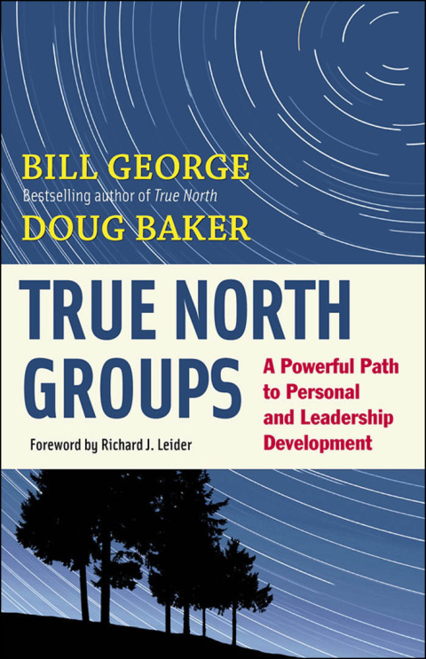 Cover image for book True North Groups