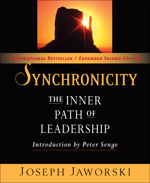 Cover image for book Synchronicity