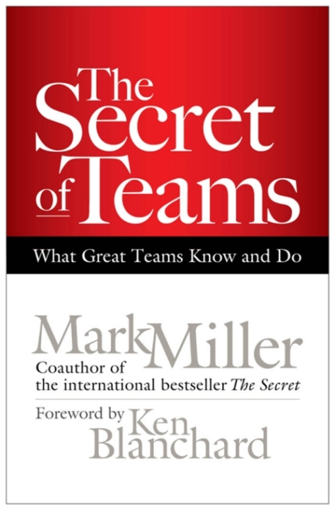 Cover image for book The Secret of Teams