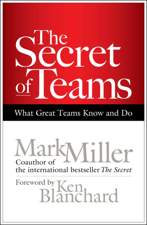 Cover image for book The Secret of Teams