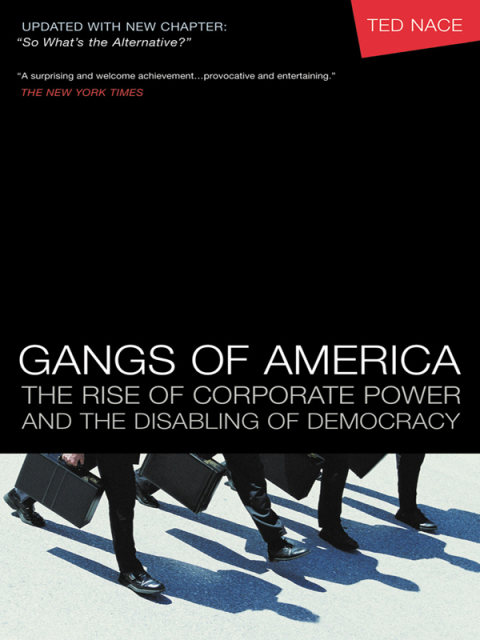 Cover image for book Gangs of America