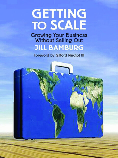 Cover image for book Getting to Scale