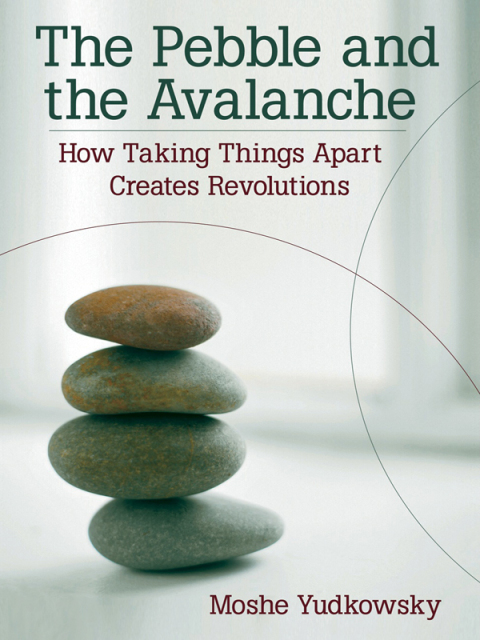 Cover image for book The Pebble and the Avalanche