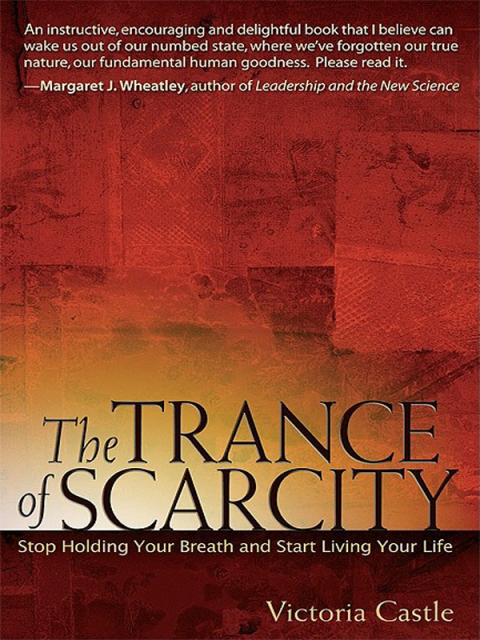 Cover image for book The Trance of Scarcity