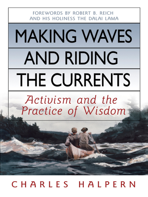 Cover image for book Making Waves and Riding the Currents