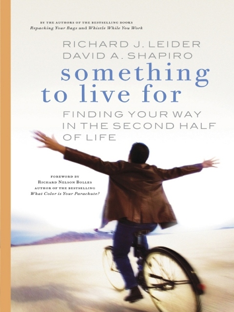 Cover image for book Something to Live For