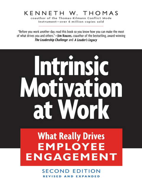 Cover image for book Intrinsic Motivation at Work