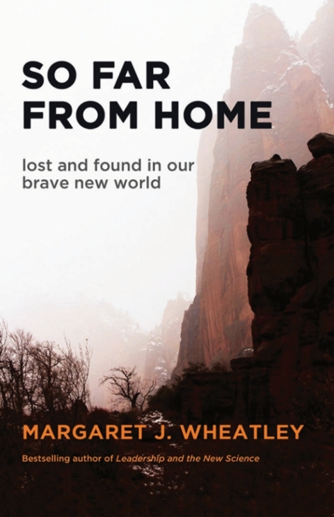 Cover image for book So Far from Home