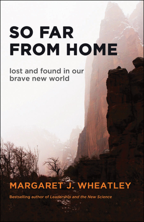 Cover image for book So Far from Home