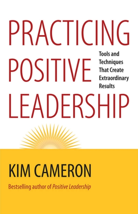 Cover image for book Practicing Positive Leadership
