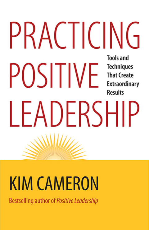 Cover image for book Practicing Positive Leadership