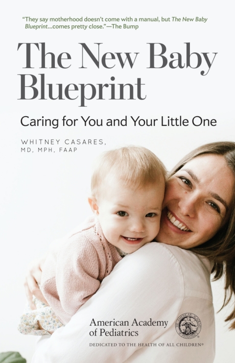 Cover image for book The New Baby Blueprint