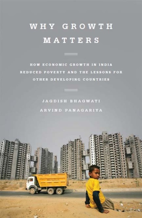 Cover image for book Why Growth Matters