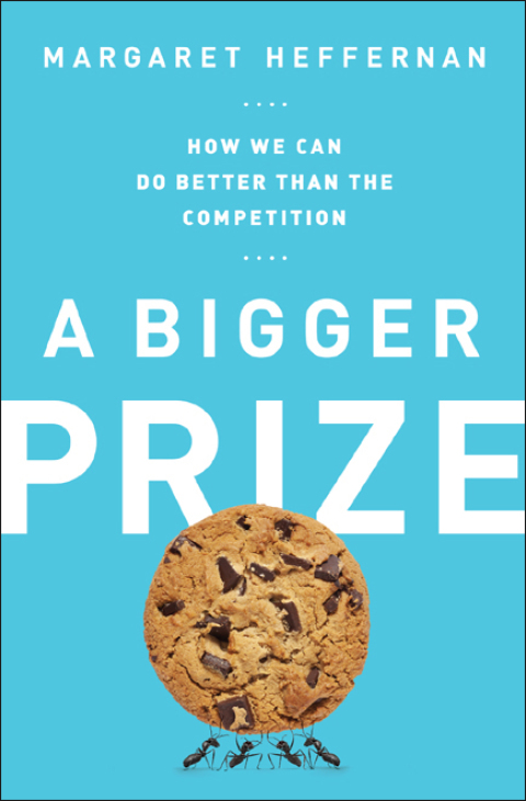 Cover image for book A Bigger Prize
