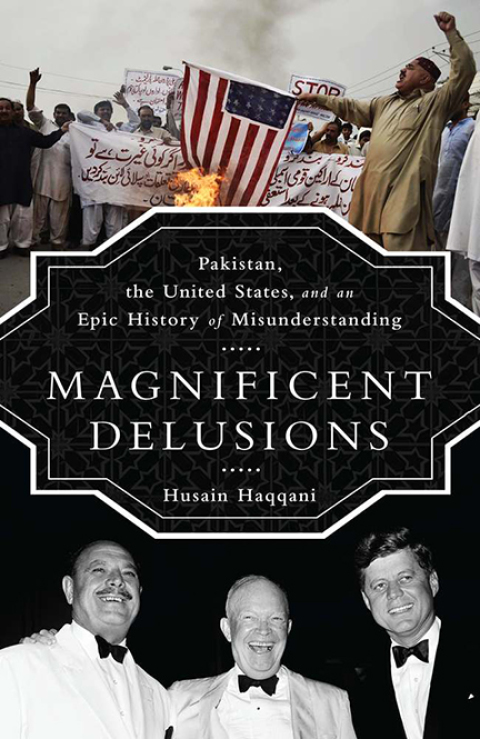 Cover image for book Magnificent Delusions