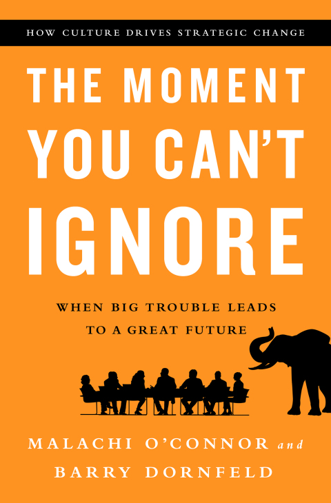 Cover image for book The Moment You Can't Ignore