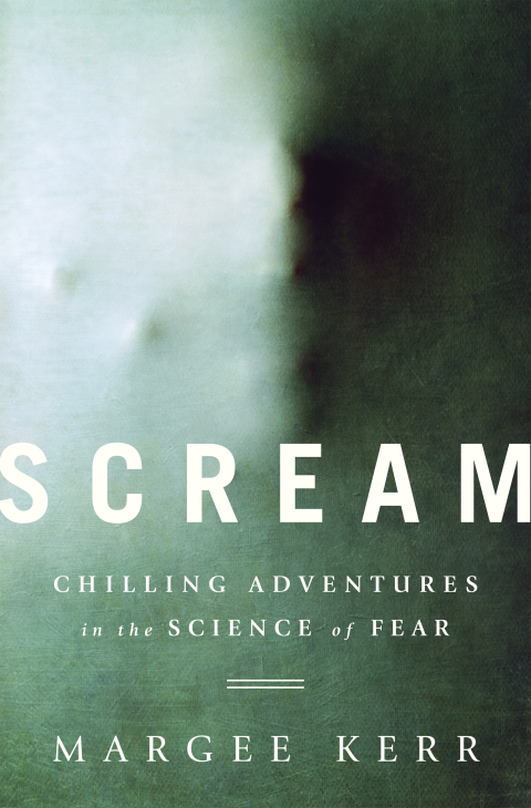 Cover image for book Scream