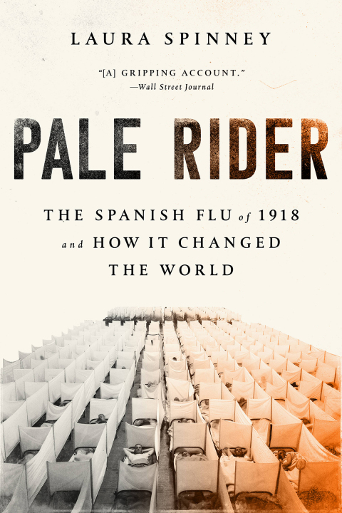 Cover image for book Pale Rider