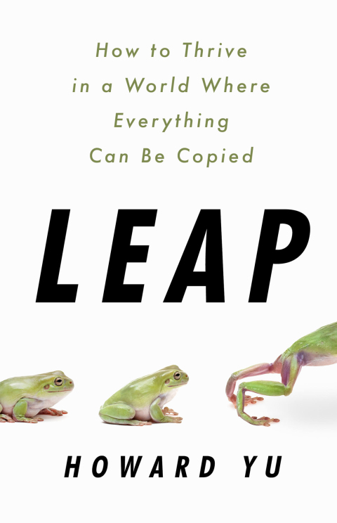 Cover image for book Leap