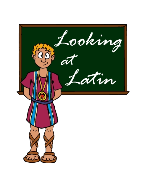 Cover image for book Looking at Latin
