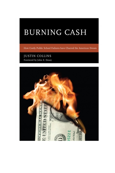 Cover image for book Burning Cash