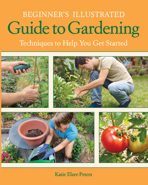 Cover image for book Beginner's Illustrated Guide to Gardening
