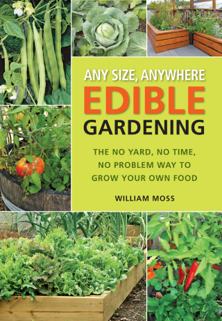 Any Size, Anywhere Edible Gardening
