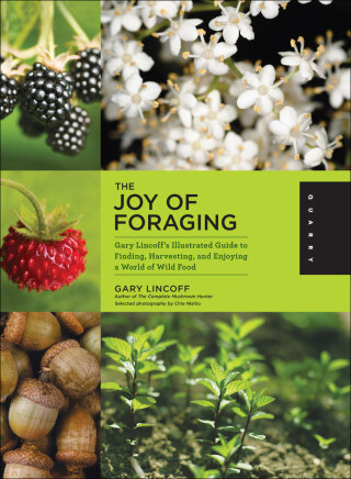 The Joy of Foraging