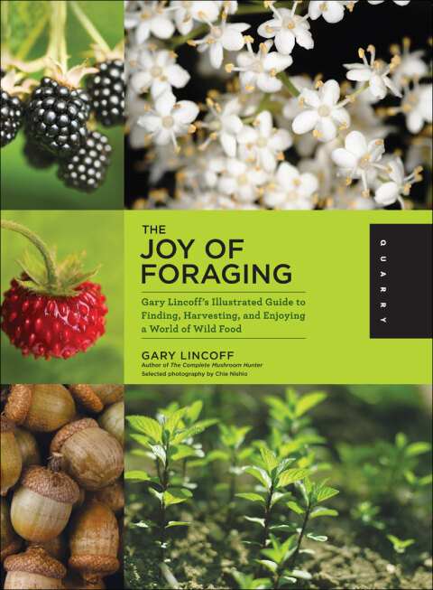 Cover image for book The Joy of Foraging