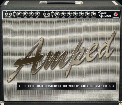 Cover image for book Amped