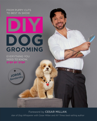 DIY Dog Grooming