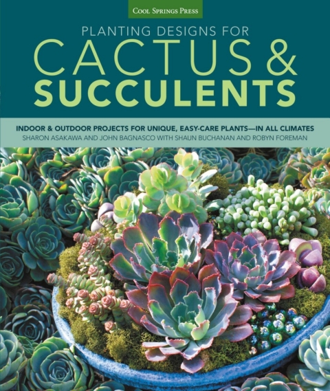 Cover image for book Planting Designs for Cactus & Succulents