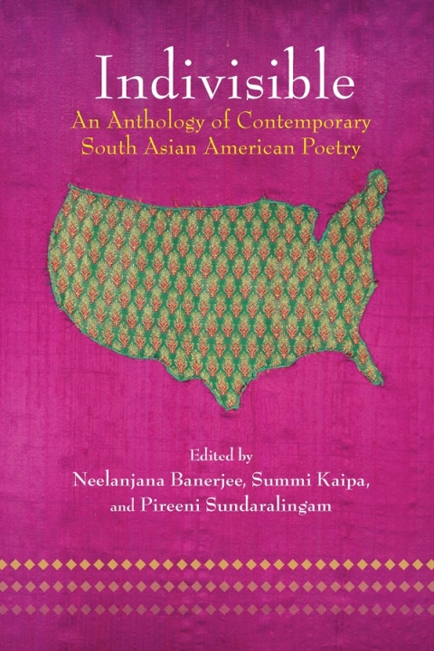 Cover image for book Indivisible