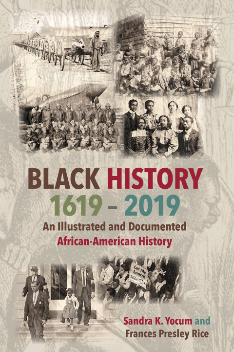 Cover image for book Black History 1619-2019: An Illustrated and Documented African-American History