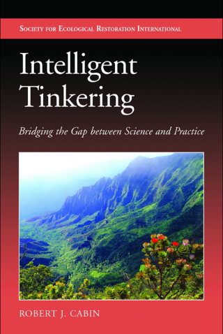 Intelligent Tinkering