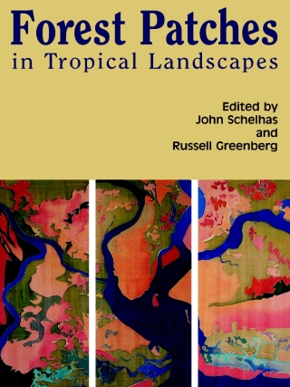 Forest Patches in Tropical Landscapes