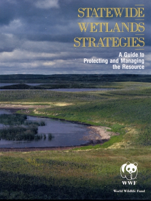 Cover image for book Statewide Wetlands Strategies