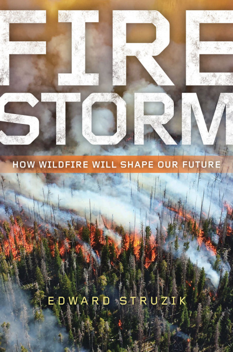 Cover image for book Firestorm