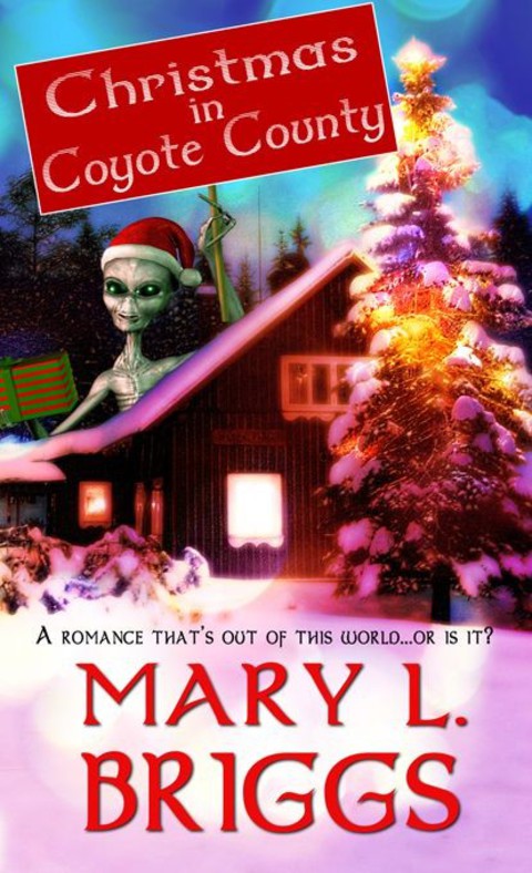 Cover image for book Christmas in Coyote County