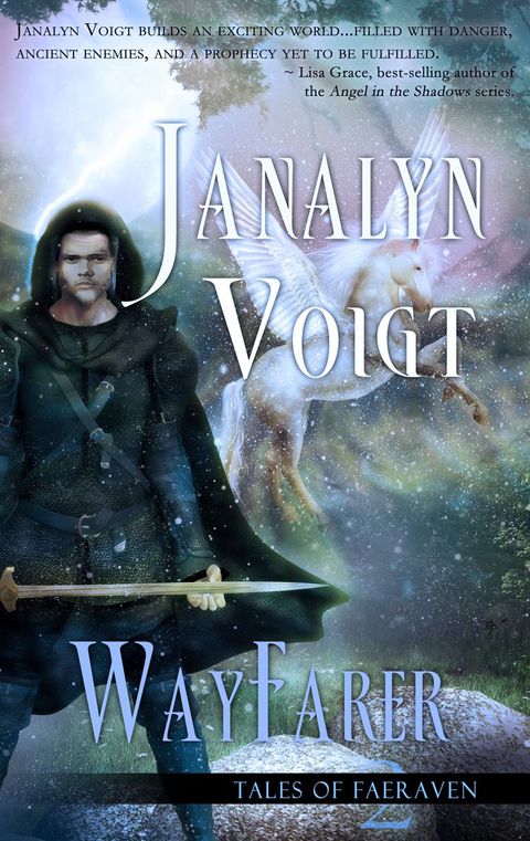 Cover image for book Wayfarer
